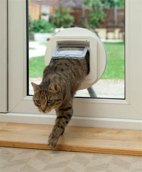 microchip pet doors for cats